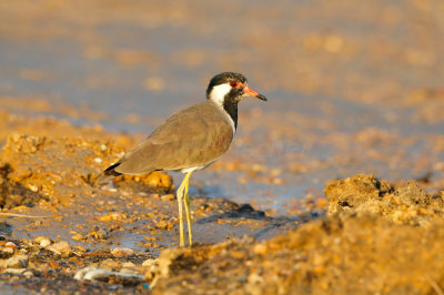 Sur Water Treatment Plant Oman 12-11-12 2557.JPG