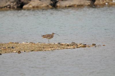 Yiti Oman 12-6-12 1386.JPG