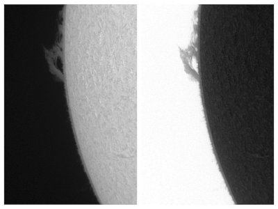 Western Prominence 10 February 2013