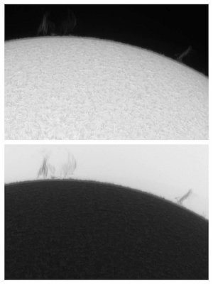 Northern Prominences 10 February 2013