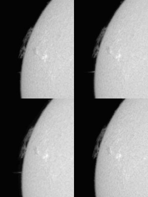 Surge Prominence 29 March 2013