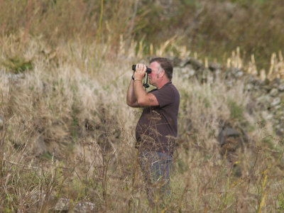 Birders on Corvo