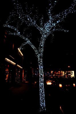 Christmas In New York 85.JPG