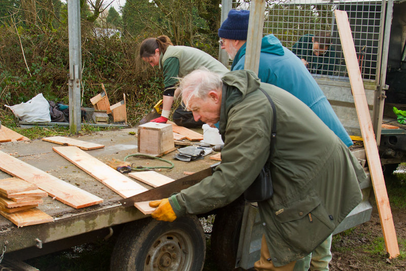 Week 07 - Making Bird Boxes at Andrews Wood.jpg