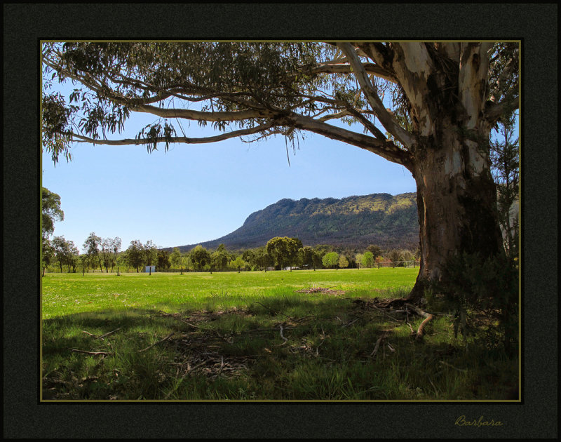Cathedral Range