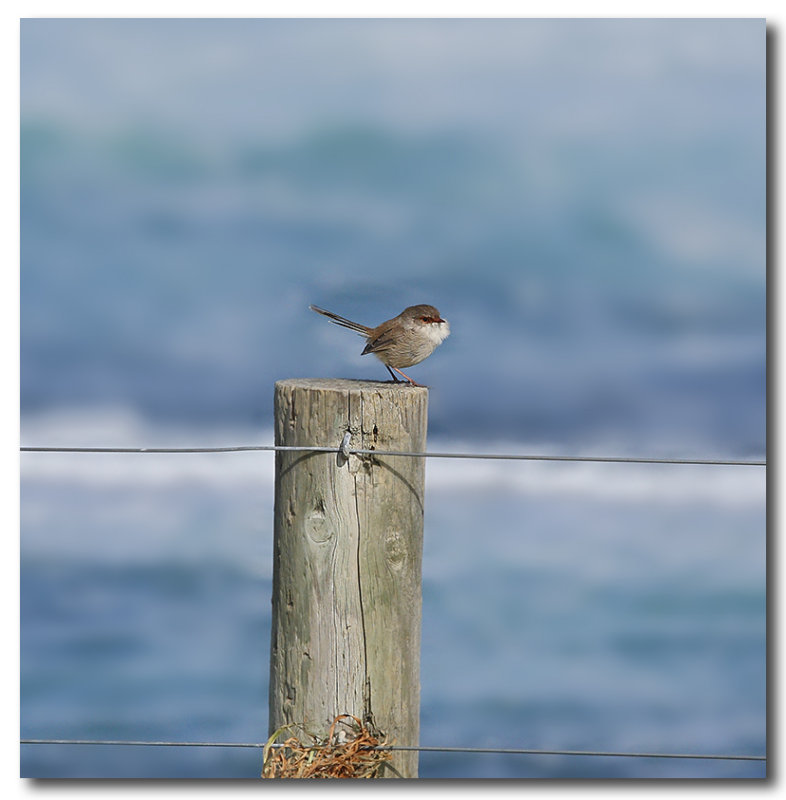 Balancing against the wind