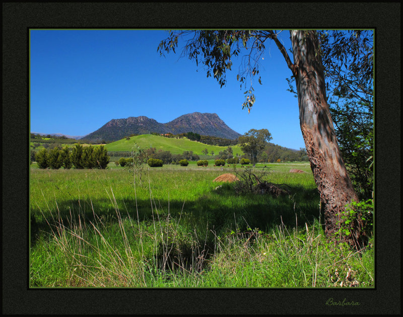 Cathedral Range
