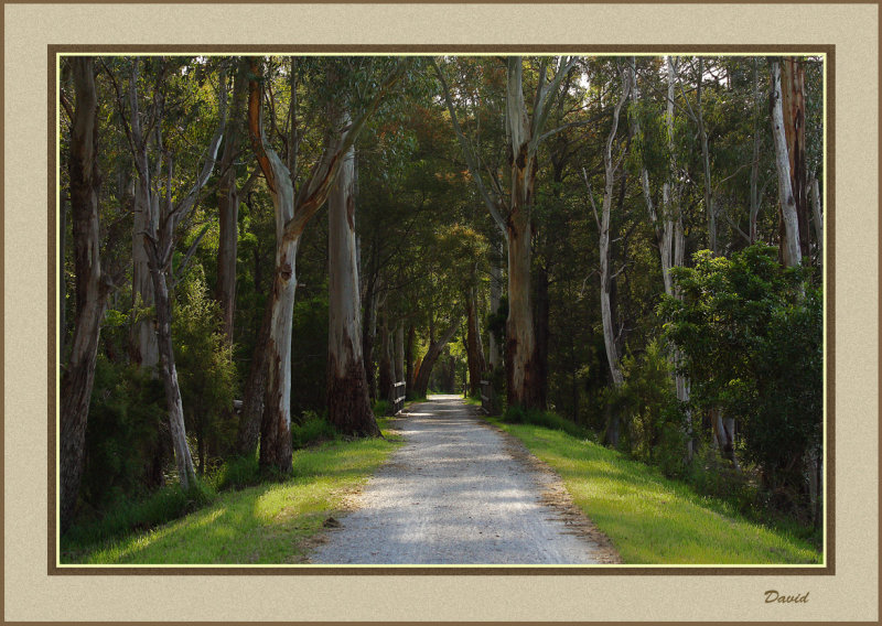 Warburton trail