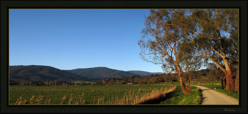 Warburton trail, Woori Yallock