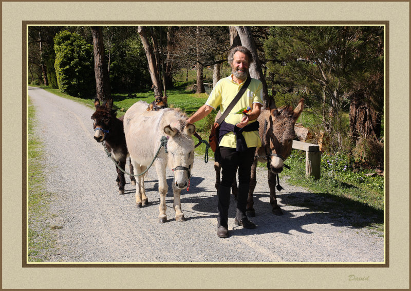 Bert with friends