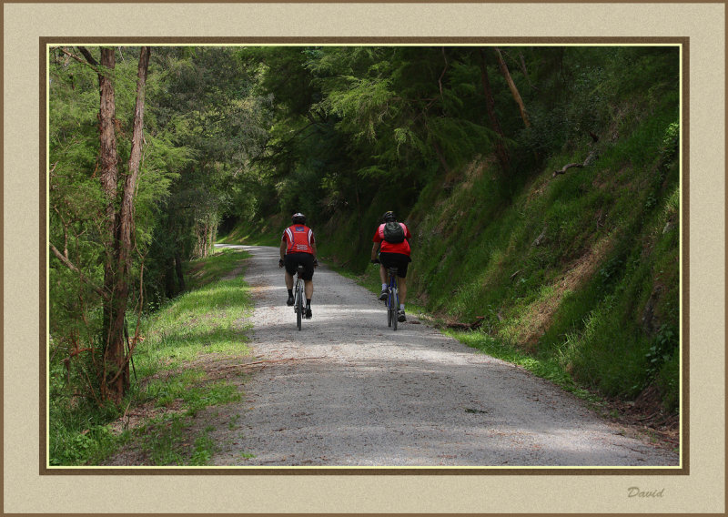 Riding the trail 