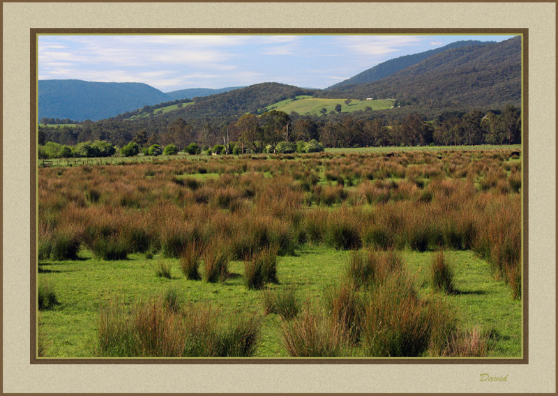 Across the grasslands   