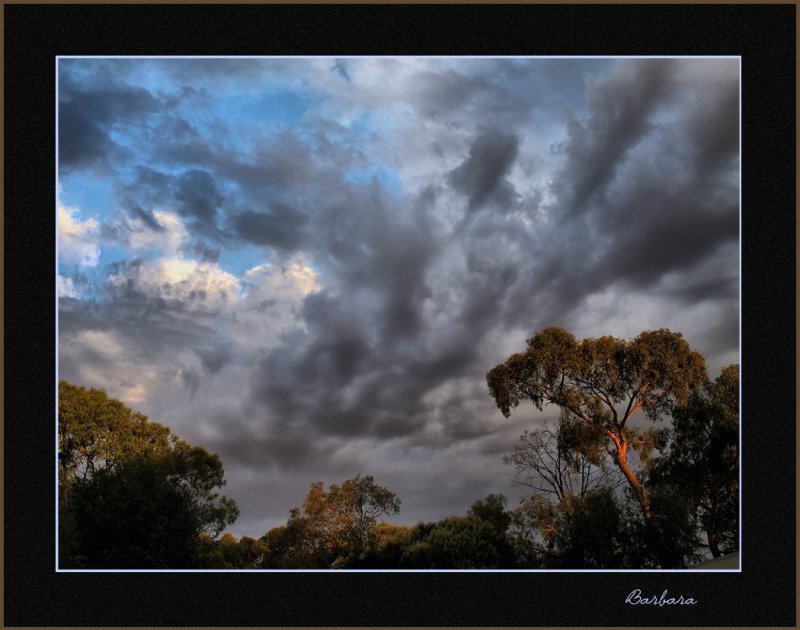 Morning Cloud