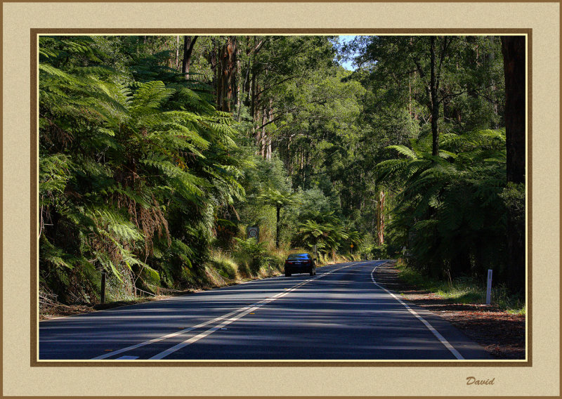Sherbrooke Forest drive 