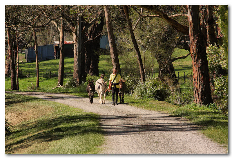 Bert walking the trail