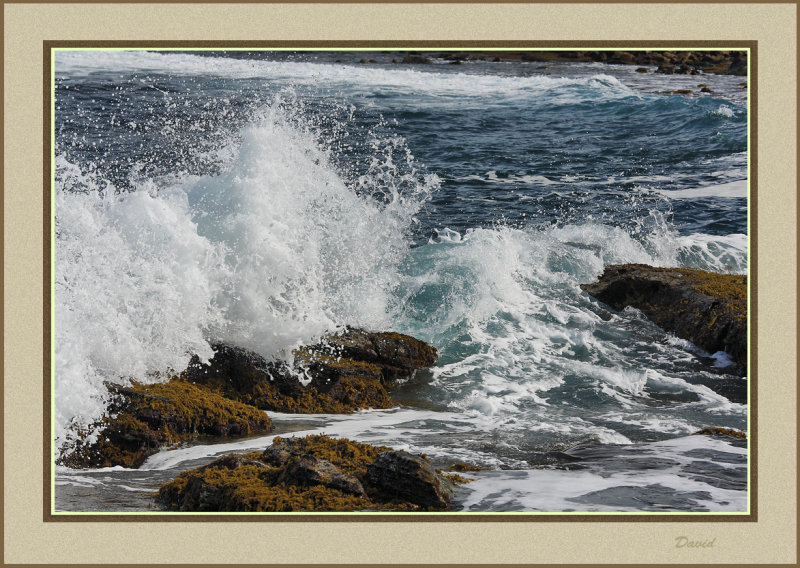 Sea Spray