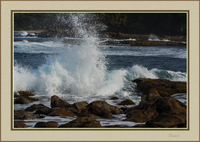 Sea Spray