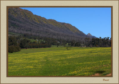 Cathedral Range