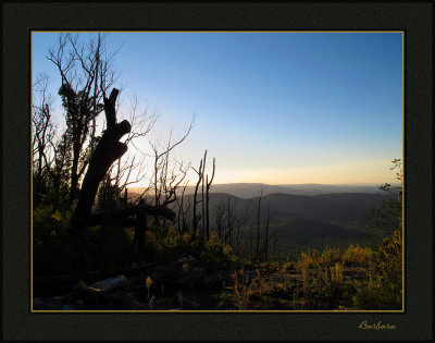 Keppel Lookout 