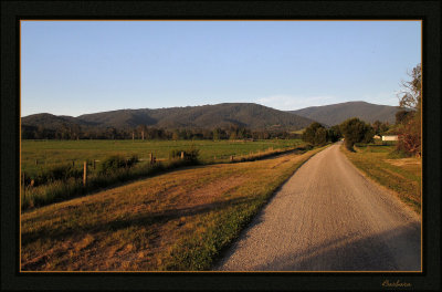 The trail