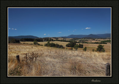 Yarra Valley view
