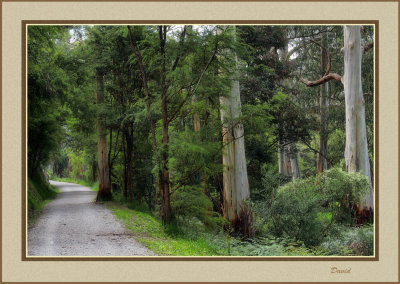 Approaching the bend