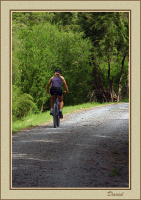 Riding the trail