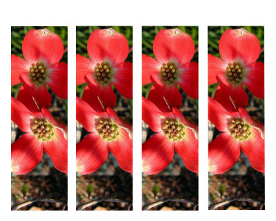 Bookmarks.jpg