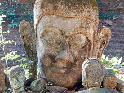 Ancient Buddha's Head
