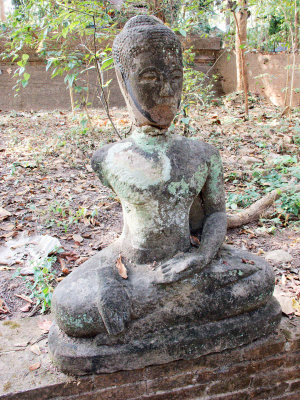 Buddha in the Grounds
