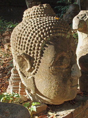 Buddha's Head