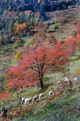 Autour de Ax les Termes