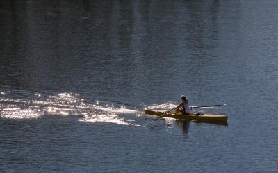 g2/50/153050/3/147338606.V1WvFzse.jpg