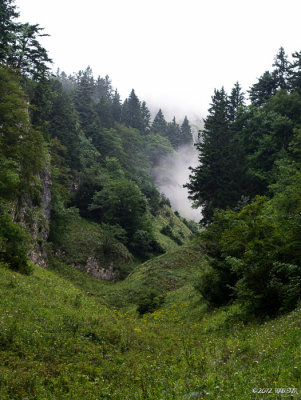 20120725_124252_0725-124252.jpg