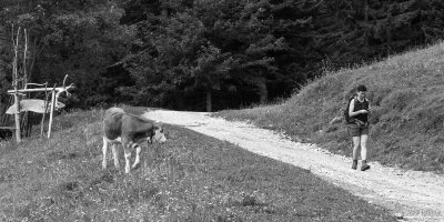 20120725_141726_0725-141726.jpg