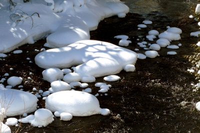 Snowshoeing - Nottawasaga Bluffs - Mar. 4, 2013