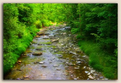 Stony Brook