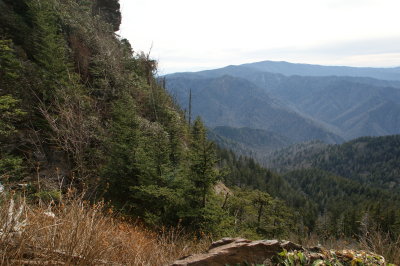 DSC05552.JPG