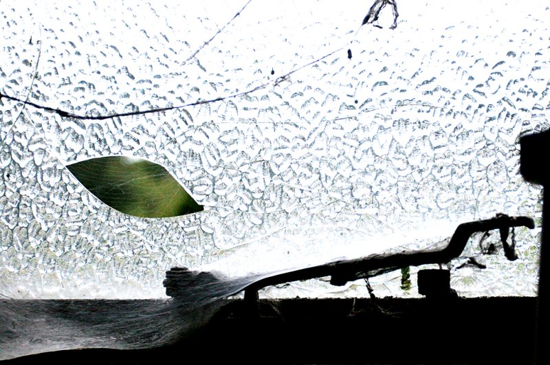 September 4 2006:  <br>  The Distant Kiss
