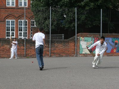 Cricket 20060825 IMG_90376.jpg