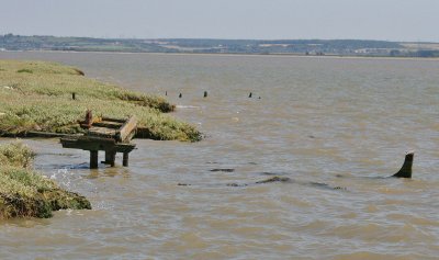 Boat graveyard.