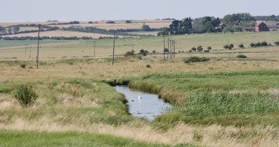 Drainage dykes in the marshes.