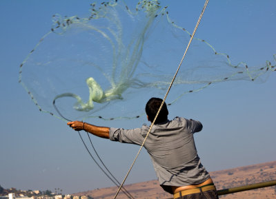 flinging the net