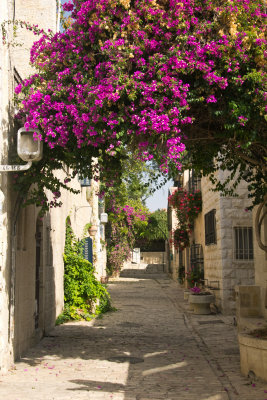 Neve Tzedek neighborhood