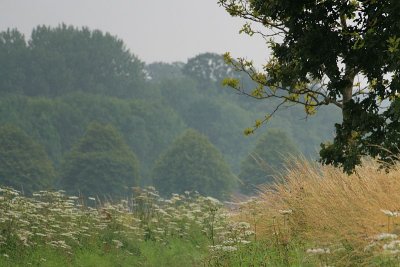 in the fields of Norwich