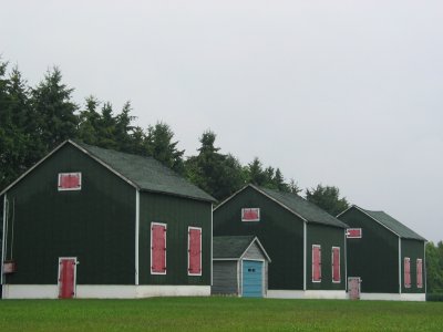 Old Tobacco Kilns.jpg