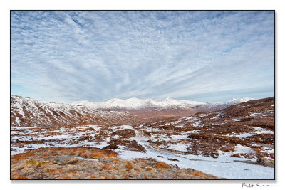 mackerel sky