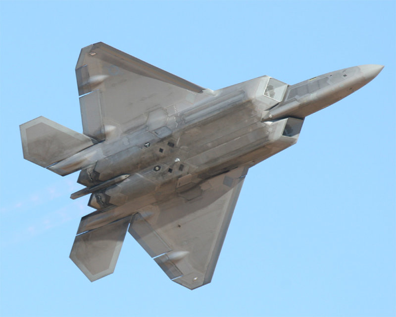 Raptor_01.jpg