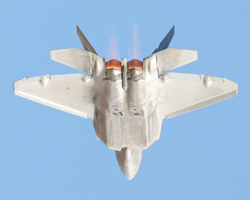 Raptor_02.jpg