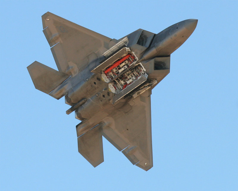 Raptor_03.jpg